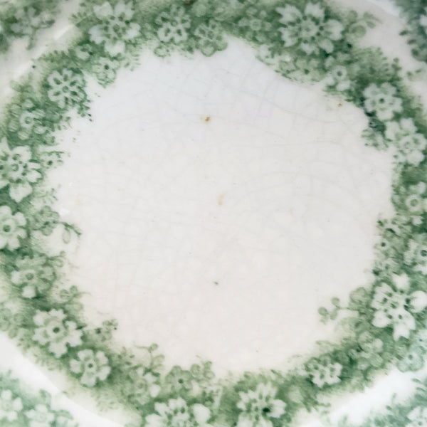 Antique English Round Butter Pats Dishes Set of 6 Argyle Green & White Floral Swag