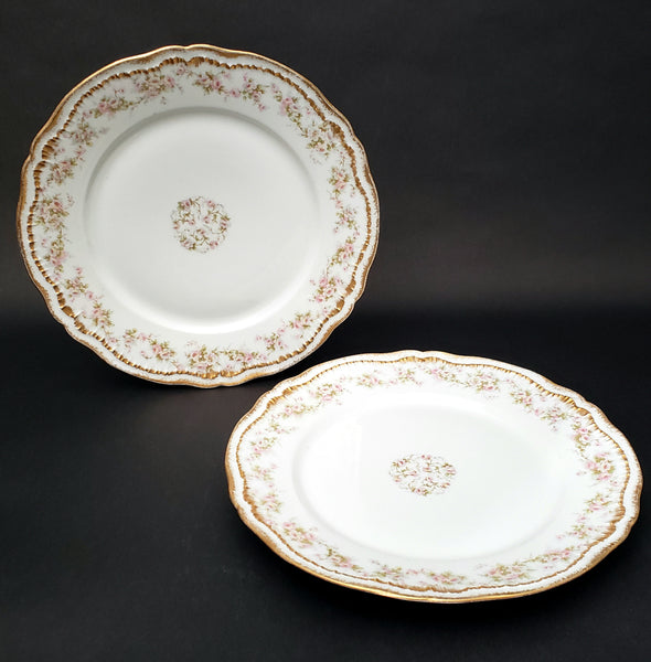 Antique Haviland Dinner Plates Schleiger 844 Set of 2 Roses Double Gold Limoges, France