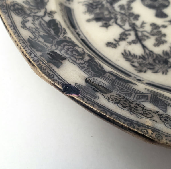 Antique Black Transferware Salad Plate 7 1/2" JEDDO by W. Adams & Sons