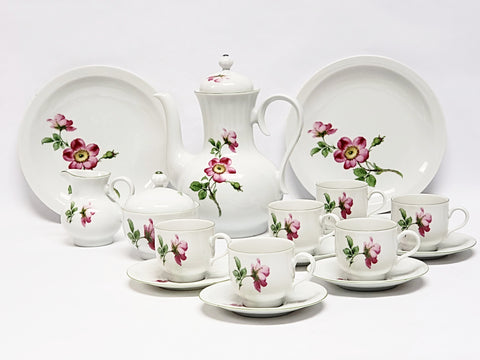 Demitasse Coffee Set 19 pieces by Bareuther Waldsassen Bavaria-Germany