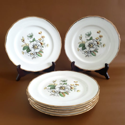 Canonsburg Dinner Plates "Linda" White Magnolia Floral Gold Trim Set of 7